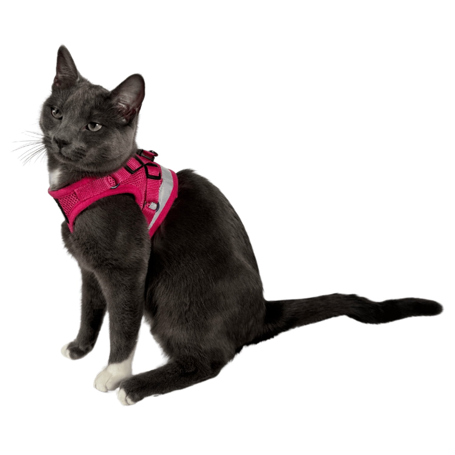 "The Purrfectly Pink" Iridescent Limited-Edition Harness  Leash Set