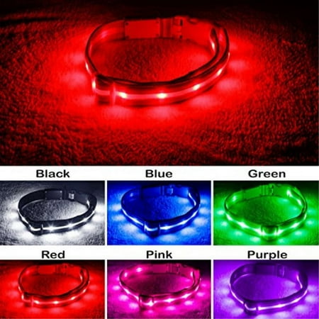 UPC: 0612058740403 | blazin  safety led dog collar – usb rechargeable with water resistant flashing light  medium  red