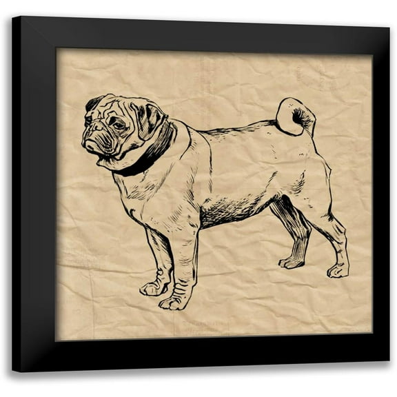 Berg, Sabine 12x12 Black Modern Framed Museum Art Print Titled - Pug