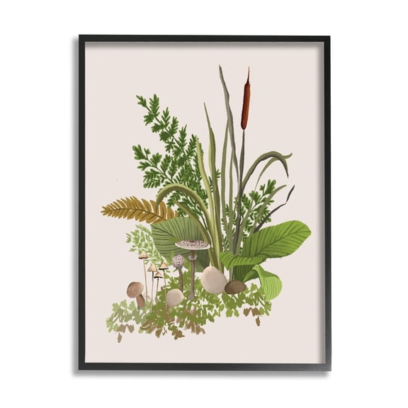 Stupell Industries Varied Nature Botanicals Forest Floor Mushrooms Arrangement Graphic Art Black Framed Art Print Wall Art, Design by House of Rose