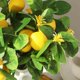 thumbnail image 4 of CaiYueKe Artificial Lemons Branches, Fake Lemon Branches with Lemons for Vase, Realistic Fake Lemon Decoration for Farmhouse Style Party Table Centerpiece and Home Decor, 4 of 6