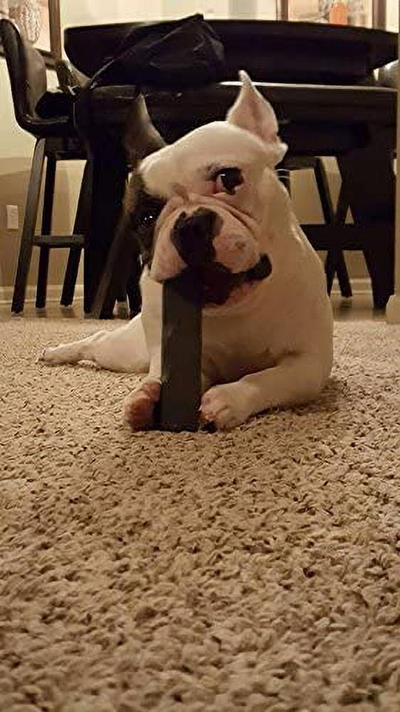 Indestructibone Mini Virtually Indestructible Dog Chew Toy for Dogs up to 15lbs