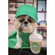 thumbnail image 2 of Star Pups Coffee Dog Toy Pup'kin Spice Latte - Fall Funny Parody Plush Squeaky Holiday Toys for Medium, Small and Large - Cute Gifts for Dog Birthday, 2 of 4