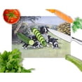 thumbnail image 2 of Carolines Treasures BDBA0257LCB Border Collie Puppies with Momma Glass Cutting Board Large, 12H x 16W, multicolor, 2 of 2