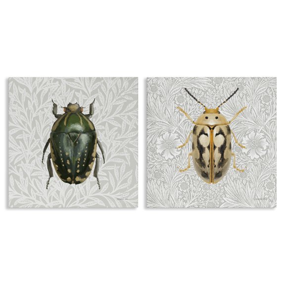 Stupell Industries Beetle Insect Portrait Animals Painting Wrapped Canvas Art Print Wall Art, 17 x 17, Set of 2