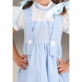 thumbnail image 6 of Toddler Deluxe Kansas Girl Costume, 6 of 7