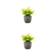 thumbnail image 3 of Inteprter Decoración artificial elegante de la planta en conserva fácil limpiar el árbol artificial del dinero en pote respetuoso del medio Type3 NO3, 3 of 6