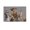 Unframe-style, variant on James C. Christensen Fantasy Art Illustration Poster Blind Leading The Blind Wall Art Poster Scroll Canvas Painting Picture Living Room Decor Home 12x18inch(30x45cm)