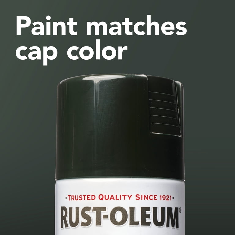 Rust-Oleum Stops Rust Gloss Spray Paint, Cypress Green, 12 oz photo 8