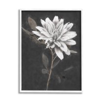 Stupell Industries Blooming Dahlia Flower Black Background Painting White Framed Art Print Wall Art, Design by Nina Blue