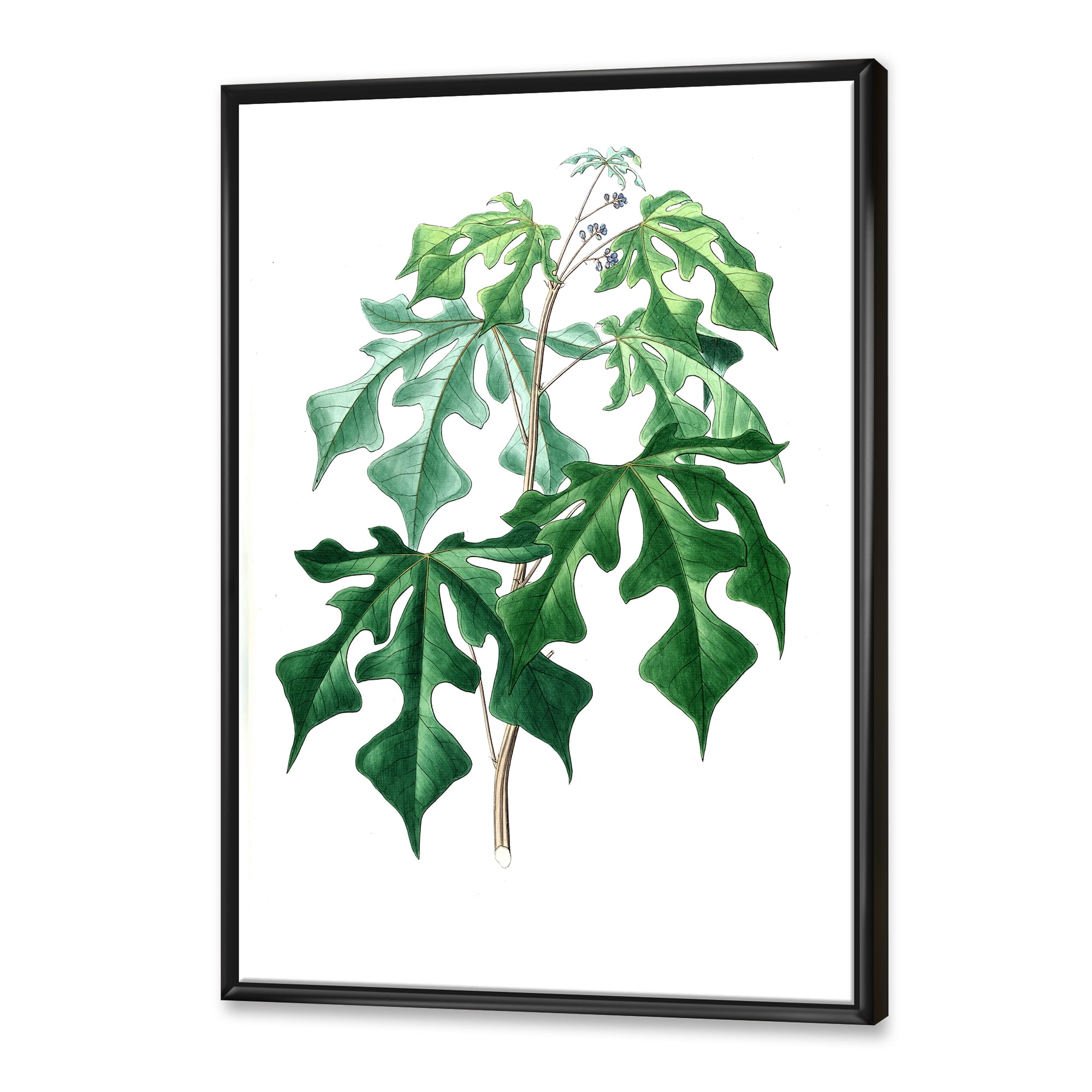 Designart 'Ancient Green Leaves Plants II' Traditional Framed Canvas Wall Art Print