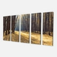 thumbnail image 2 of Chemin dans la Forêt d'Automne Panorama - Impression sur Toile, 2 of 3