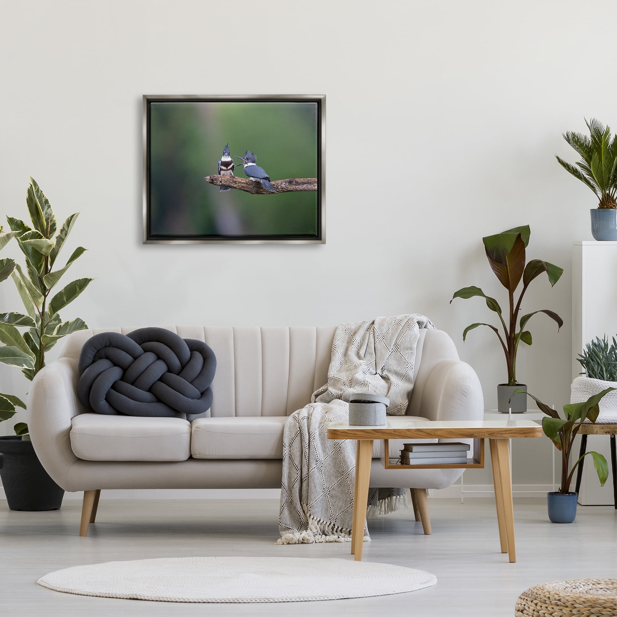 Stupell Industries Blue Jays on Branch Animals & Insects Photography Gray Floater Framed Canvas Art Print Wall Art, 31 x 25