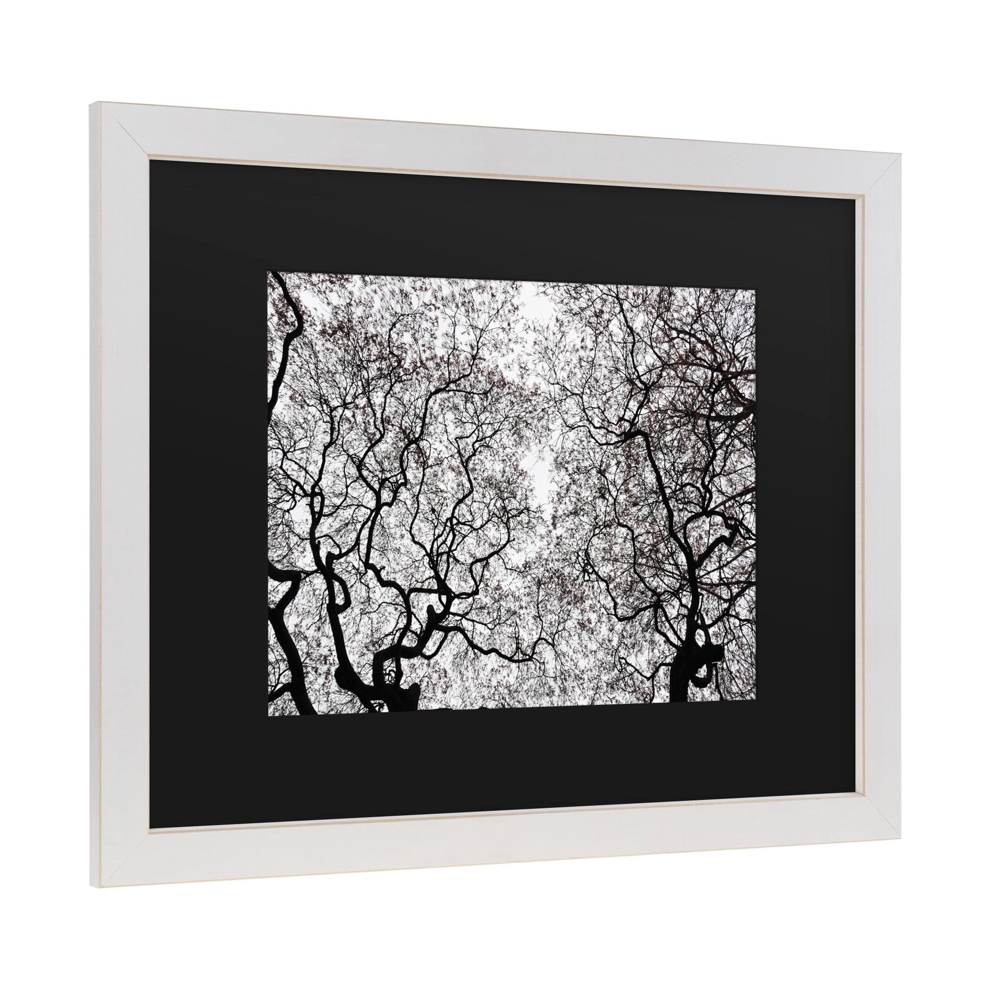 Trademark Fine Art 'Japanese Maple Spring Abstract' Canvas Art by Kurt Shaffer