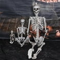 thumbnail image 5 of 1 Pcs Halloween Skeleton,Full Body Realistic Bones with Movable Joints,Skeletons Halloween Decorations for Indoor/Outdoor Haunted House Props, Spooky Scene Party Decor,3 Sizes(90cm), 5 of 6