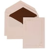 JAM Paper Wedding Invitation Set, Large, 5 1/2 x 7 3/4, White Card with Brown Lined Envelope and Seashell Border Set, 50/pack