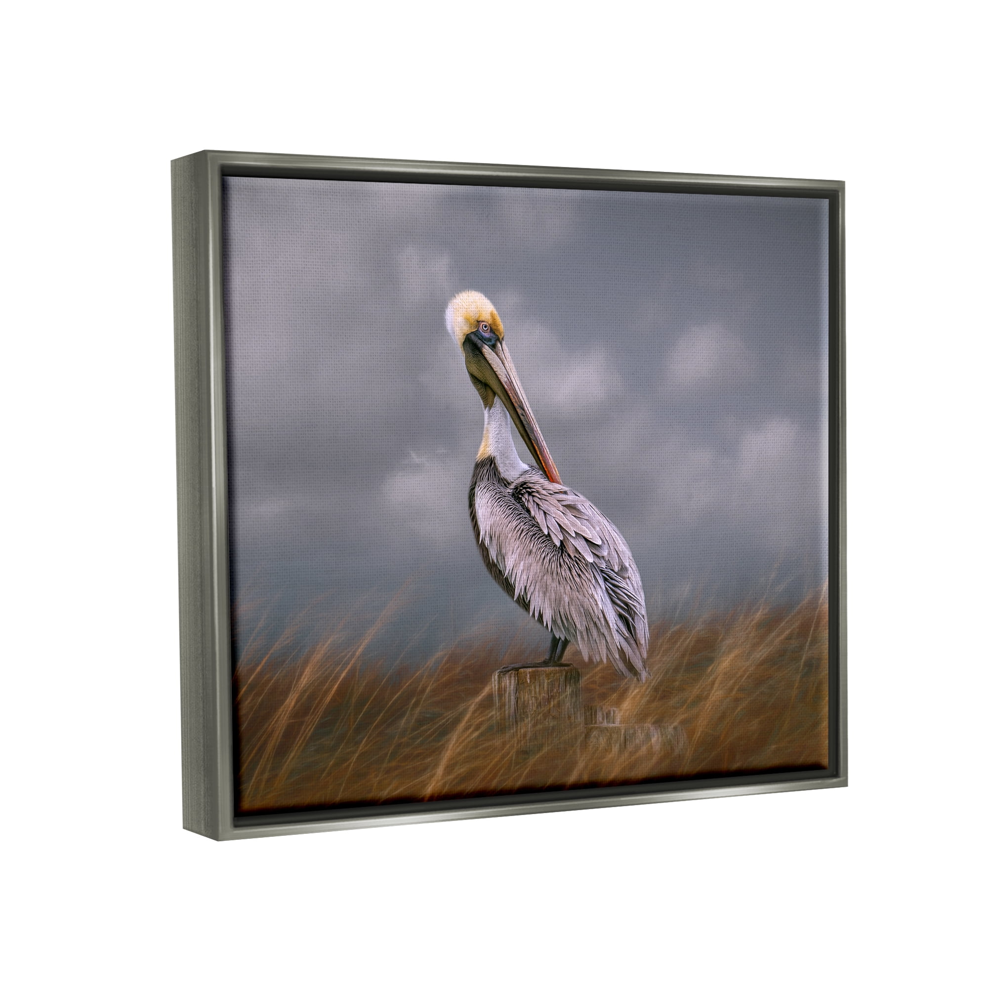 Stupell Wildlife Pelican Bird Cloudy Sky Animals & Insects Photography Gray Floater Framed Art Print Wall Art