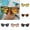 Brown, variant on 1 Set Folding Fashion Style UV Protection Lens Sunglasses Frame Eyewear with Storage Case Set