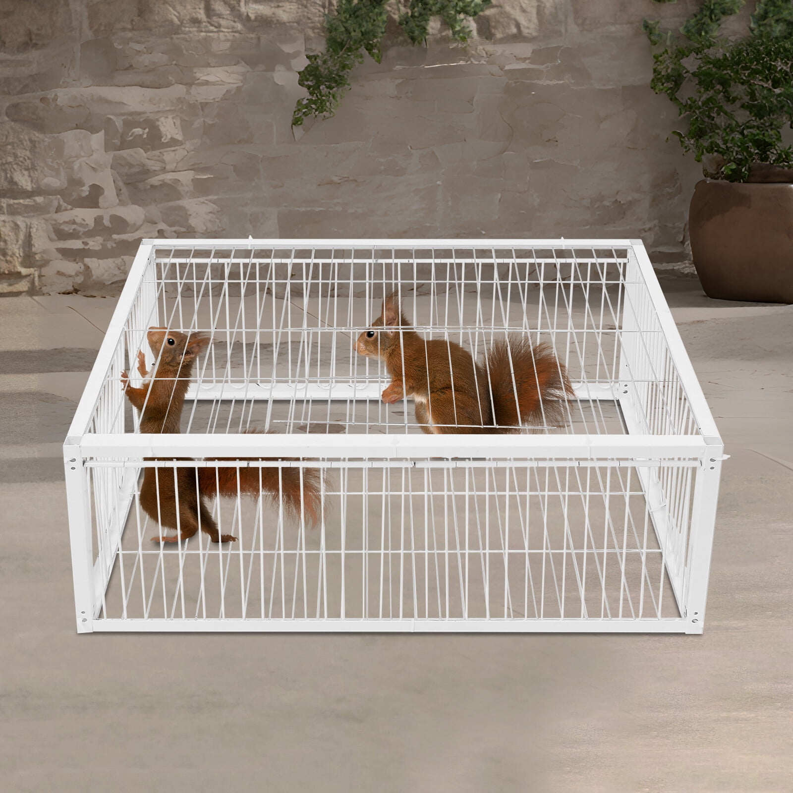 White Pigeon Cage Iron 4-Doors Rectangle Bird Cage one-way door for pigeons Used In Courtyards, Balconies, Lawns, Woods