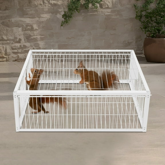 4-Door Iron Cage with Skylight, Quail Feeder, Pigeon Dove Bird Cage with One-Way Entry for 15 Pigeons, White