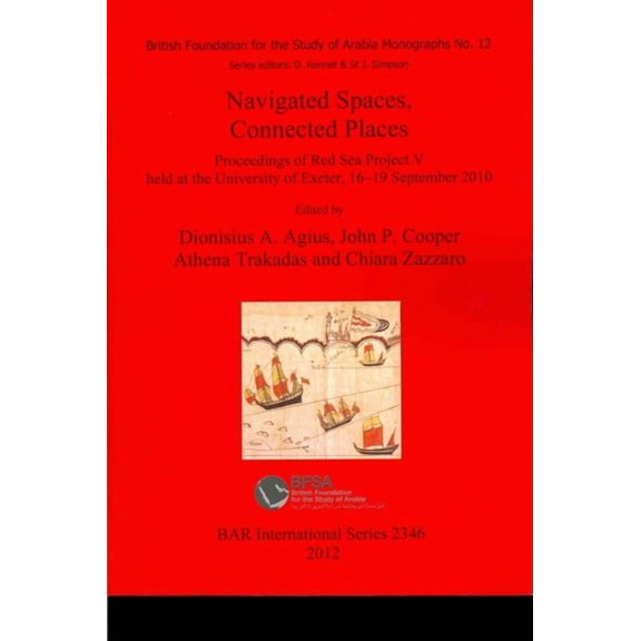 BAR International: Navigated Spaces, Connected Places (Paperback)