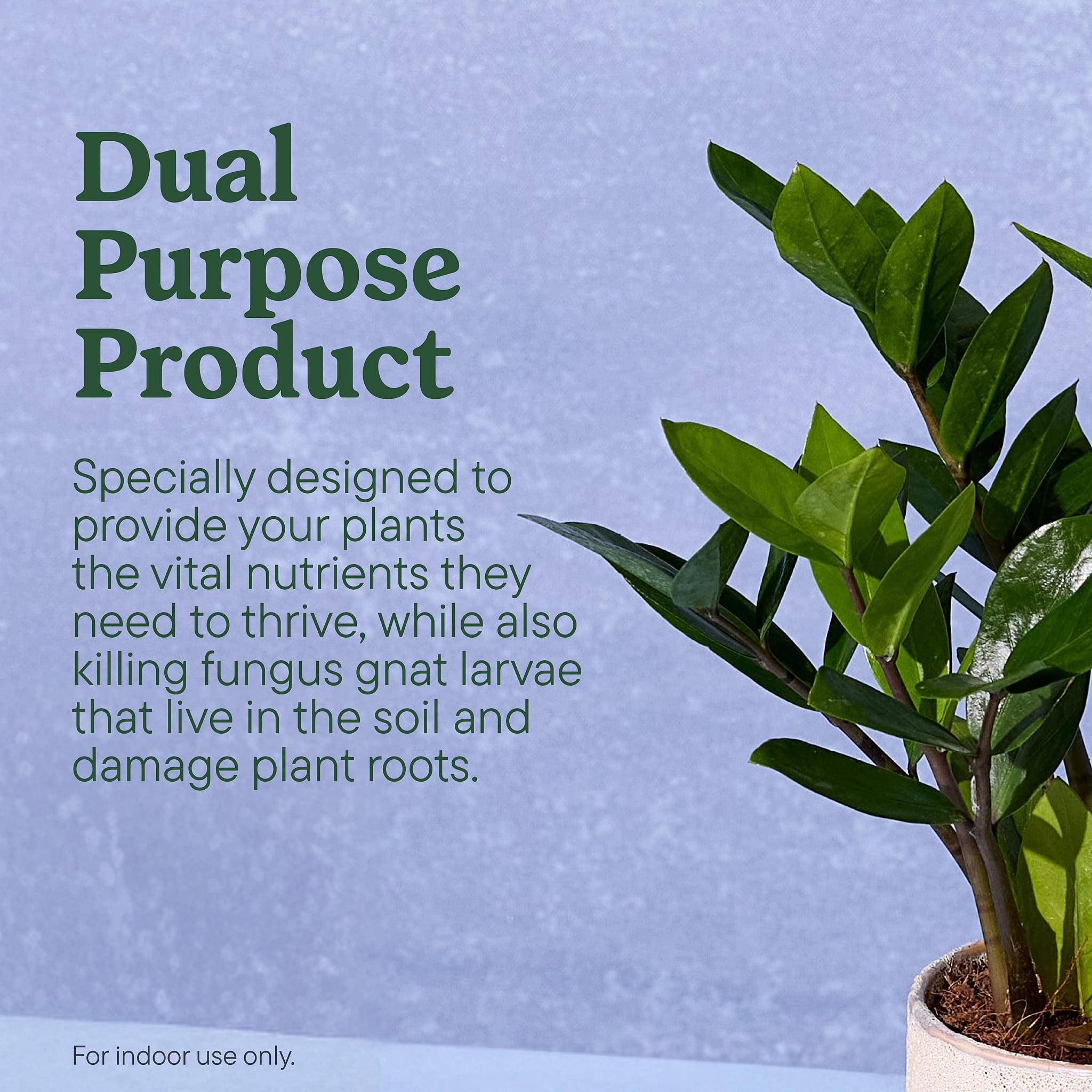 Miracle-Gro Plant Care Gnat Control Plus Plant Food, for Indoor Plants, Houseplants, Vegetables, and Herbs, 4 Packets