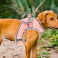 thumbnail image 1 of NUOLUX 1Jgo Arnés Multifuncional Para Perro Fácil De Usar Con Correa De Control Ajustable, 1 of 8