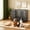 Black, variant on Ironovahome 42" Heavy Duty Steel Dog Crate for High Anxiety Large Dogs, XL Large Dog Cage with Wheels & Removable Tray, Indoor Chew Proof & Escape Proof Dog Kennel