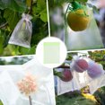 thumbnail image 2 of Uxcell 200 Pack Fruit Protection Bags - 6x8 Inch Fruit Netting Bags with Drawstring Apply to Plants(Green), 2 of 7