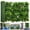 Green a, variant on Artificial Boxwood Hedges Panels Roll,40'' x 40'' in(11.5 sqft) UV-Anti Faux Greennery Grass Wall Privacy Backdrop Fence Screen for Garden Fence Covering Privacy, Outdoor Indoor Home Decor