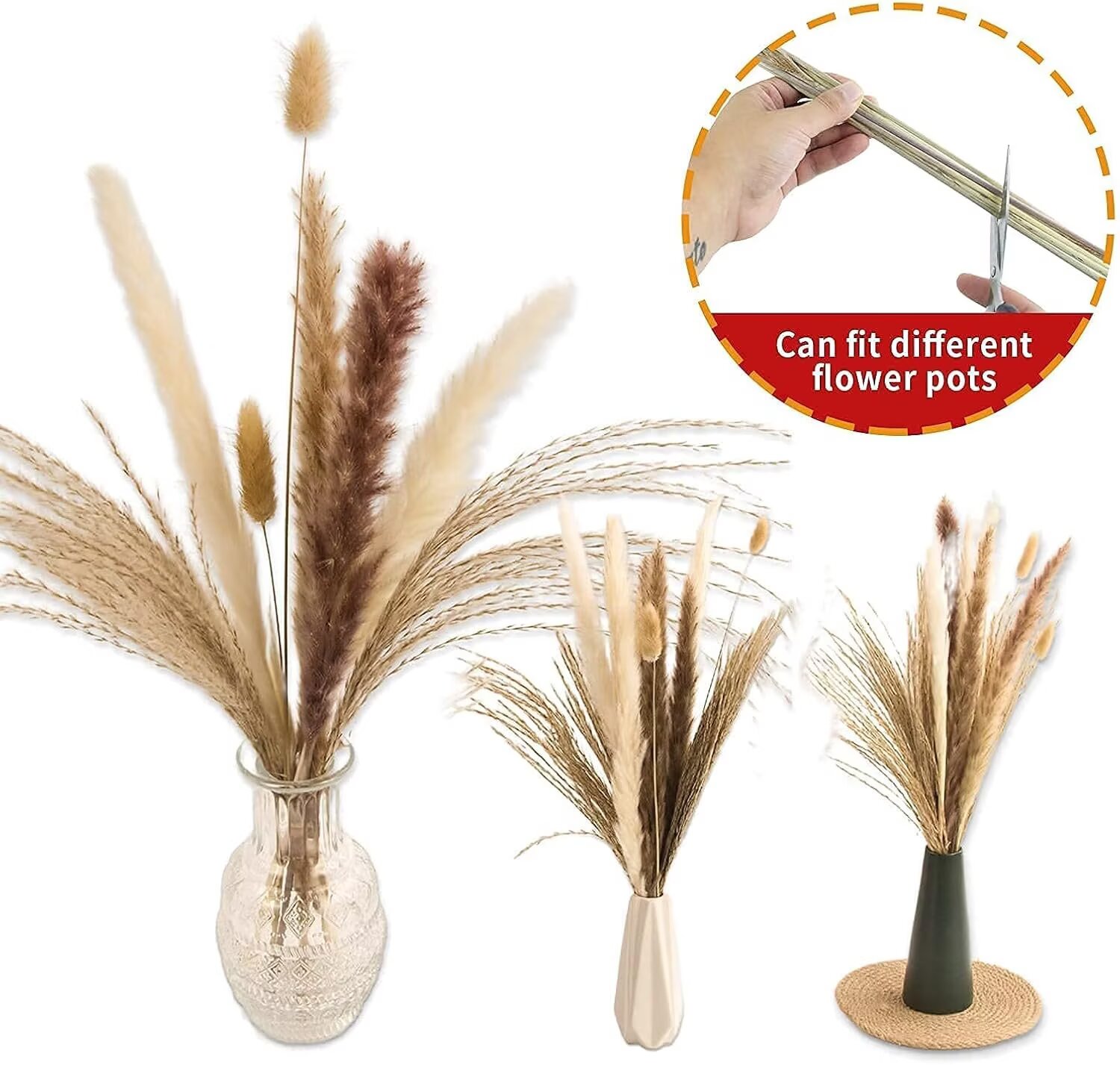 Pakyozj 65PCS Pampas Grass Decor, Including Dried Floral, Reed Dried Grass and Bunny Tails Dried Flowers, Natural Dried Pampas Grass Bouquet for Boho Decor Wedding, Home Decoration