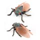 thumbnail image 4 of de de plástico realistas modelo de simulado falso de 3 piezas para colección de ayudas didácticas s de ciencia Hugo Niños Insectos Animales Juguetes, 4 of 7