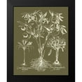 thumbnail image 2 of Vision Studio 12x14 Black Modern Framed Museum Art Print Titled - Custom Delicate Besler Botanical II, 2 of 5