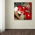 thumbnail image 4 of Trademark Fine Art "China Red I" Canvas Art by Color Bakery, 4 of 4