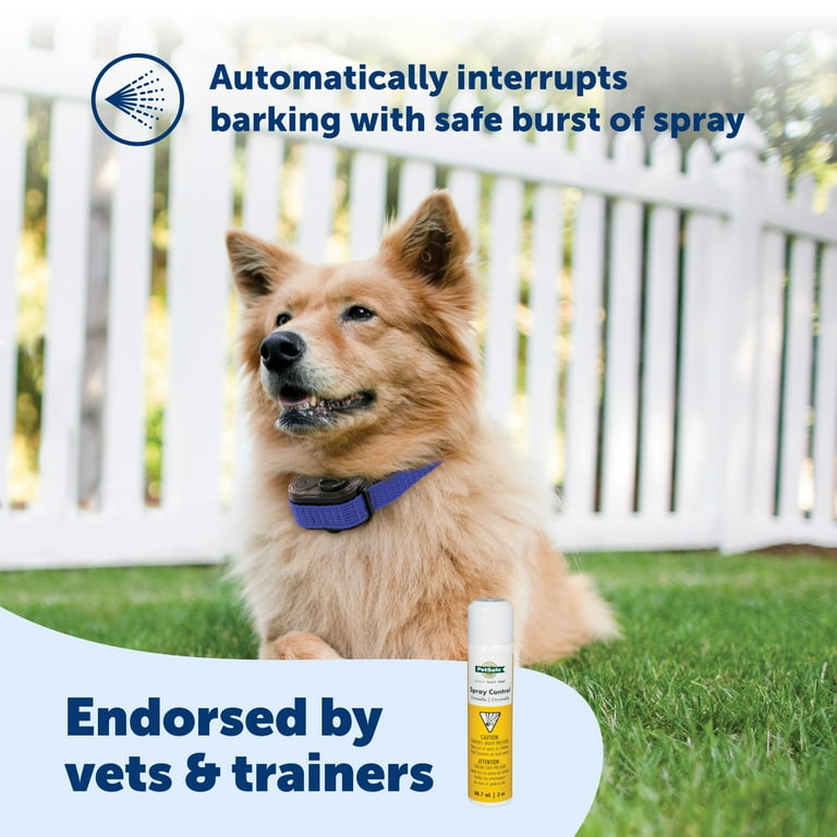 Citronella for dogs barking 2025