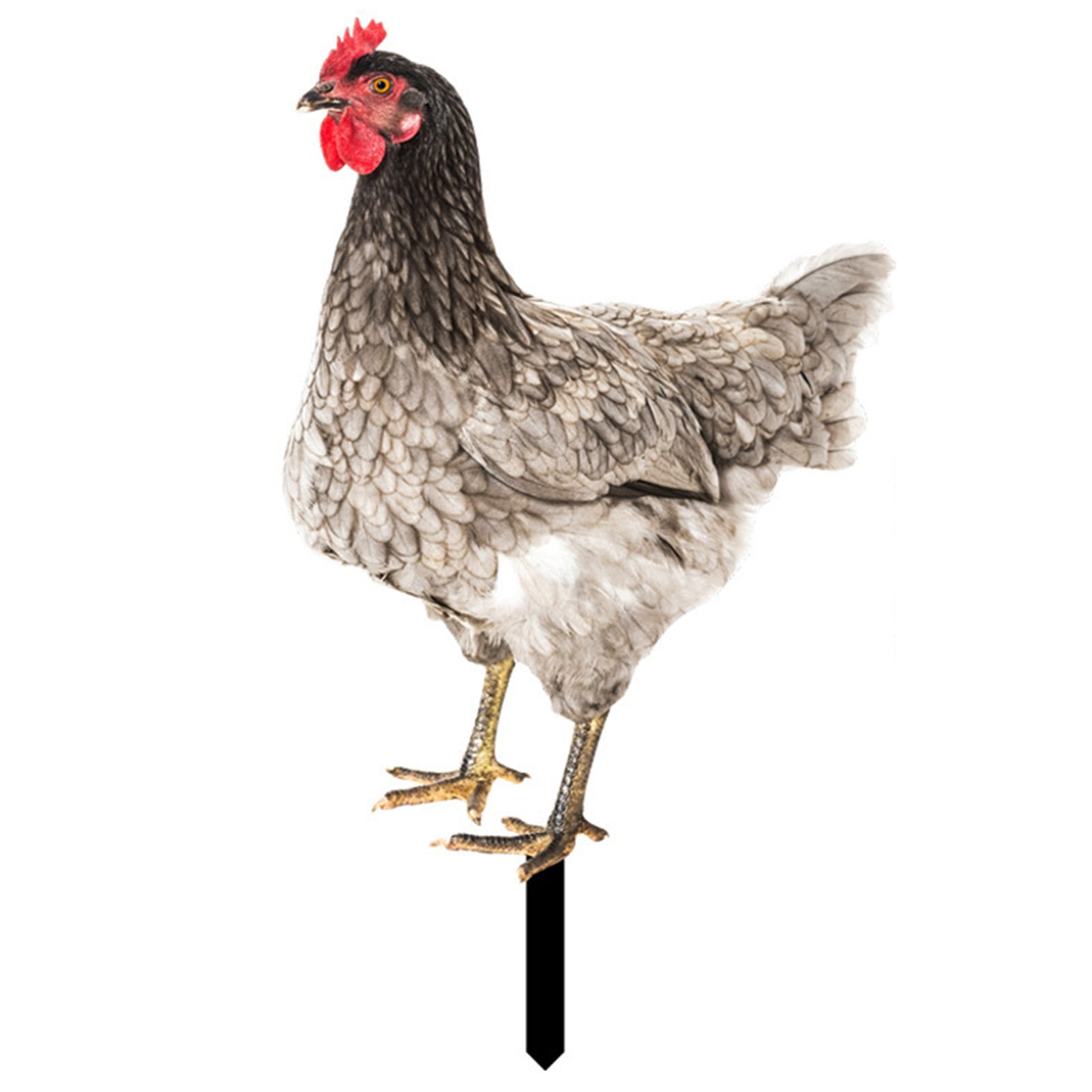 Juliy Rooster Decor Realistic Life-like Ornamental Double-sided ...