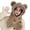 Brown, variant on Cheers Women Winter Integrated Hat And Scarf Thick Fleece Warm Cartoon Fox Ear Decor Windproof Full Protection Outdoor Travel Cold Weather Snowboarding Camping Cap