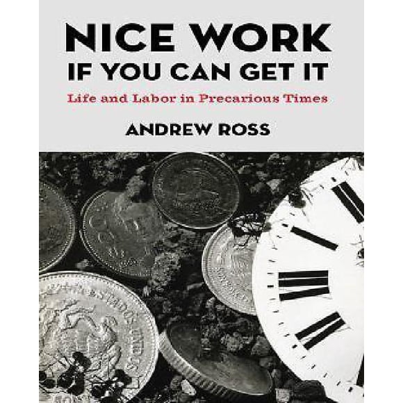 Nice Work If You Can Get It: Life and Labor in Precarious Times