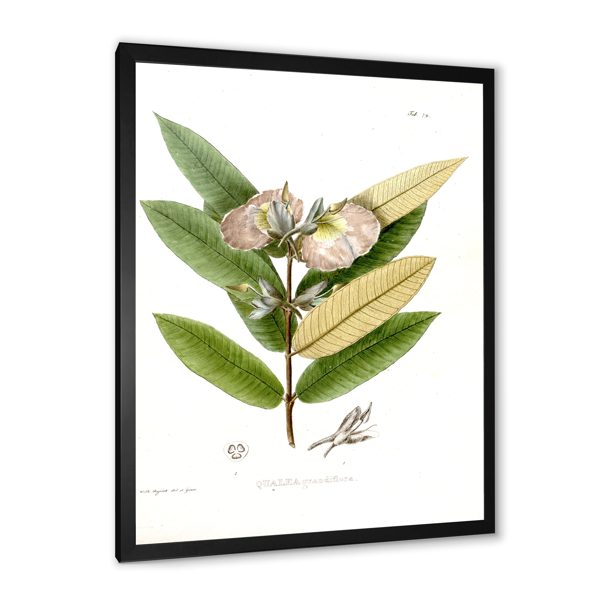 Designart 'Ancient Blossoming Flower II' Traditional Framed Art Print