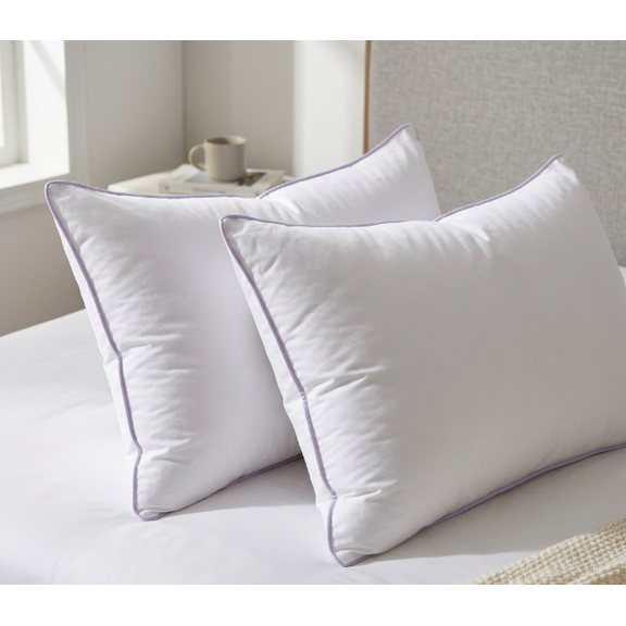 BedDecor 100% Egyptian Cotton 600TC 2PC Pillow Case Solid White Queen