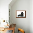 thumbnail image 4 of Black Poodle Lying Down, Animals Framed Art Print Wall Art Sold by Art.Com, 4 of 5