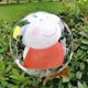 thumbnail image 1 of Ballons transparents imprimés Hello Kitty Sanrio Kawaii, 6 pièces, cadeau d'anniversaire pour enfants, jouet, décoration de meubles de mariage, 1 of 4