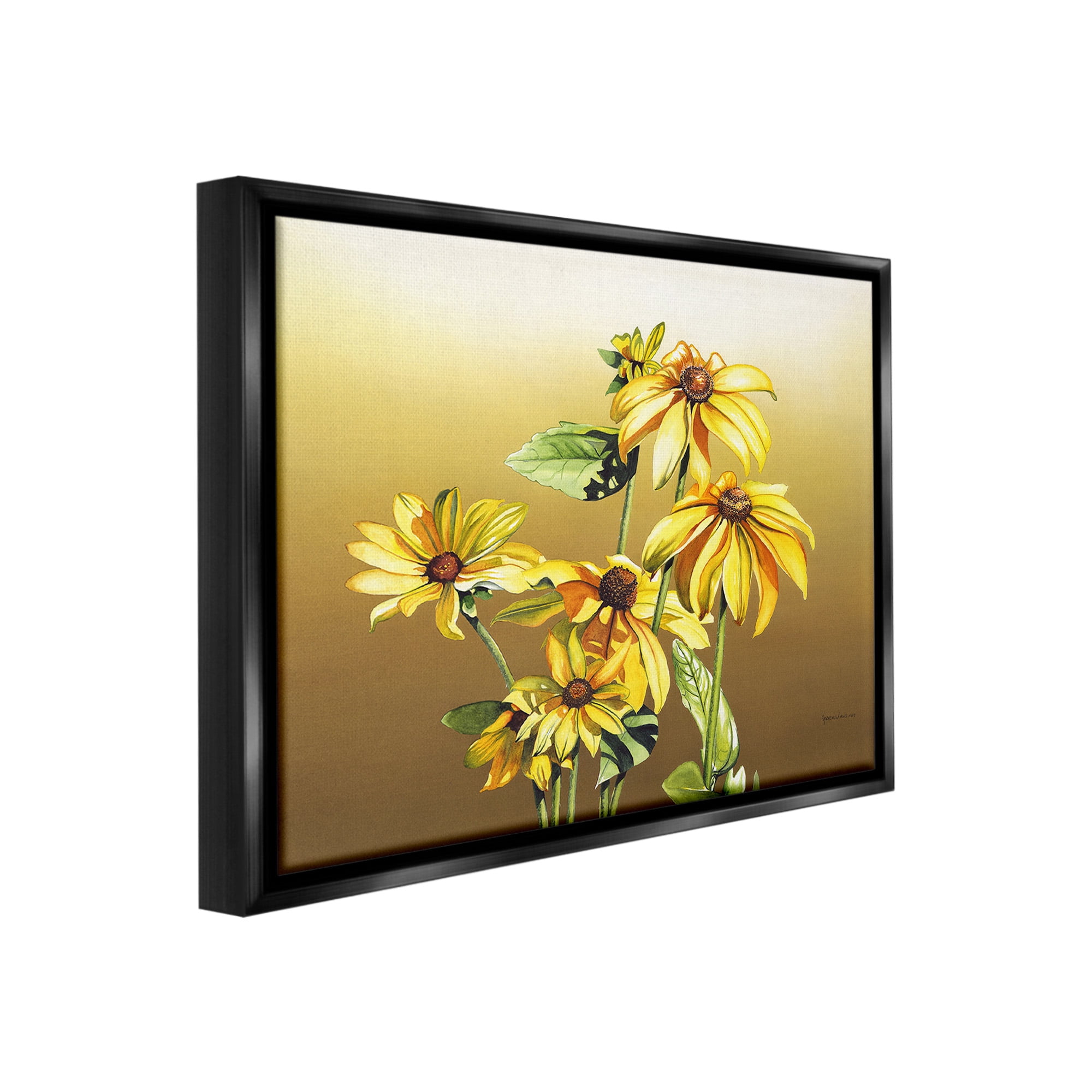 Stupell Industries Drooping Daisy Petals Botanical & Floral Painting Black Floater Framed Canvas Art Print Wall Art, 21 x 17