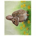 thumbnail image 1 of Betsy Drake PM053 14 x 18 in. Rabbit Place Mat - Set of 4, 1 of 1