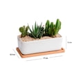 thumbnail image 2 of Maceta Rectangular con basae de Madera, 2 of 9
