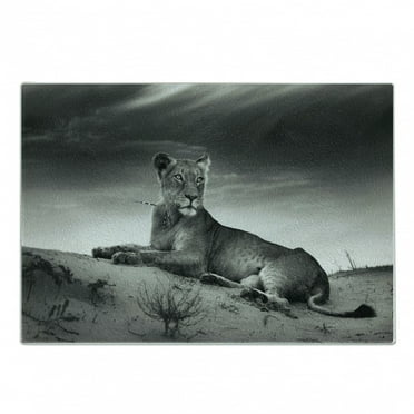 Black and White Cutting Board, Wild Lioness on Desert Sand Dunes Animal Safari Image Print, Decorative Tempered Glass Cutting and Serving Board, Small Size, Black White Grey, by Ambesonne
