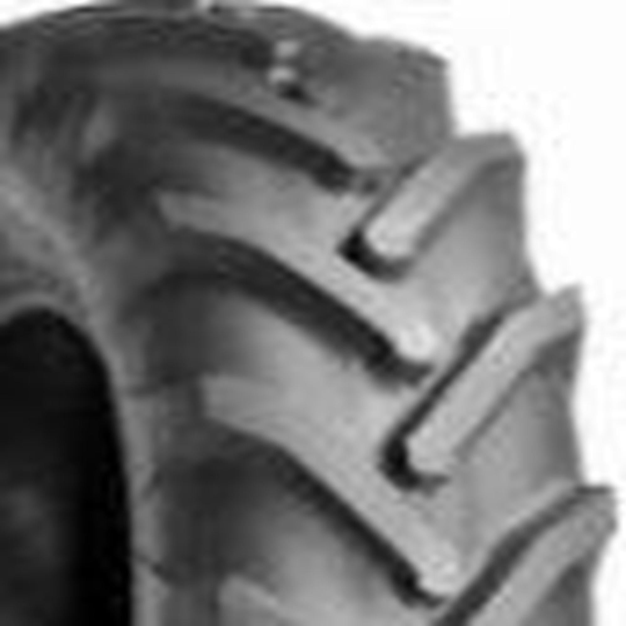 Galaxy R1 9.50-22  C Farm Tire