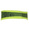 thumbnail image 3 of Jojo's Bizarre Adventure Anime Dio Brando Headbands 2pc Set Hairbands, 3 of 7