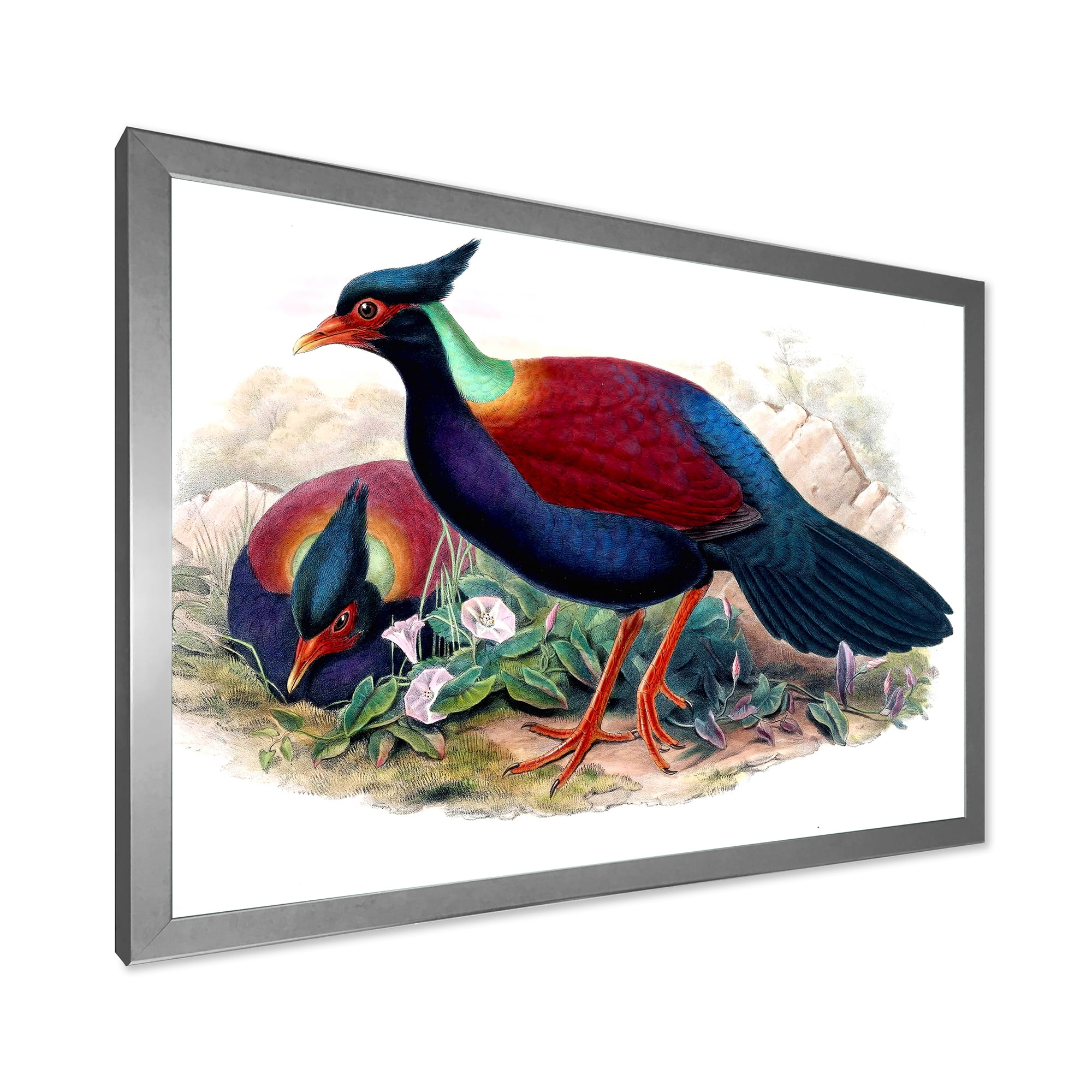 Designart 'Ancient Birds In The Wild II' Traditional Framed Art Print