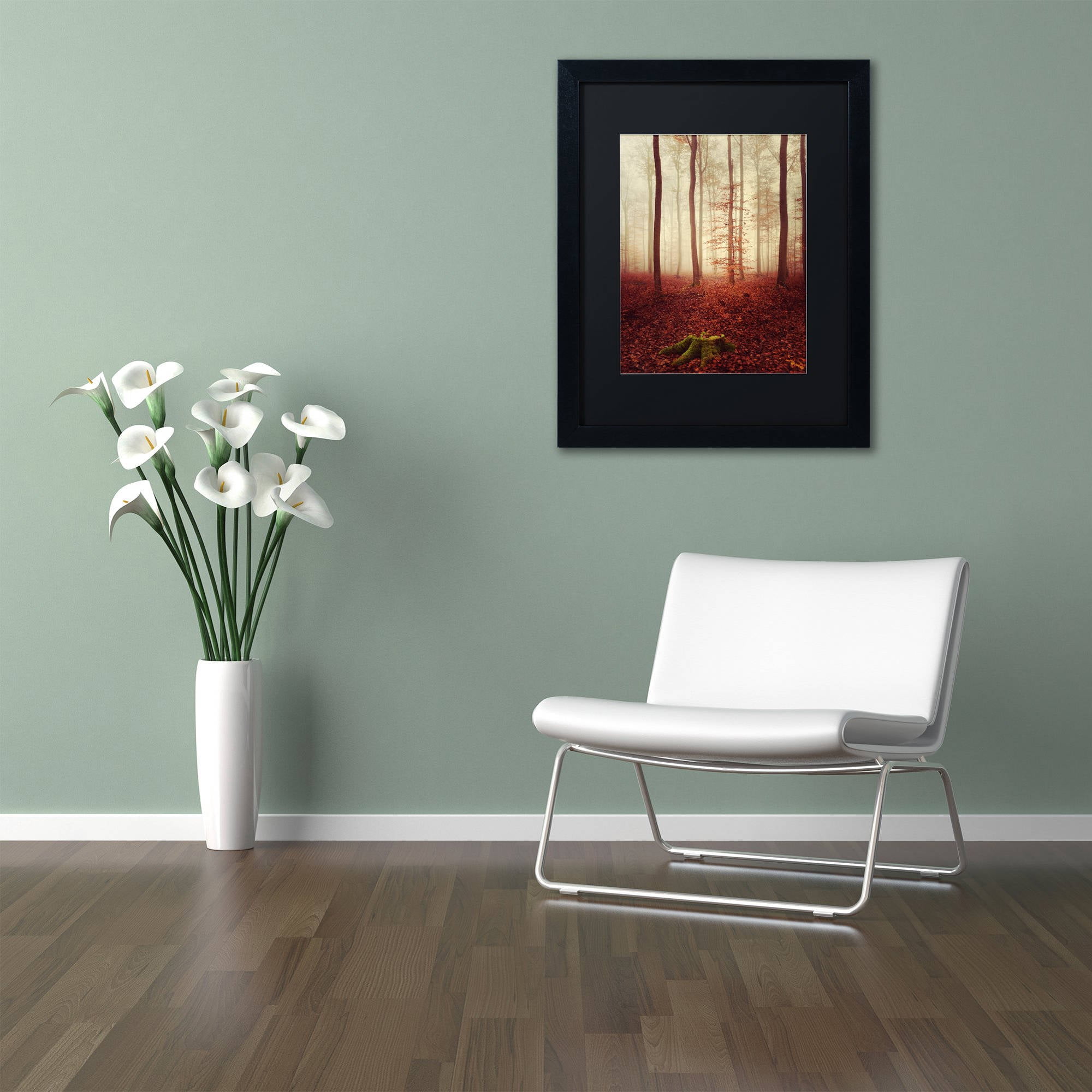Trademark Fine Art "Land of the Free" Canvas Art by Philippe Sainte-Laudy Black Matte, Black Frame